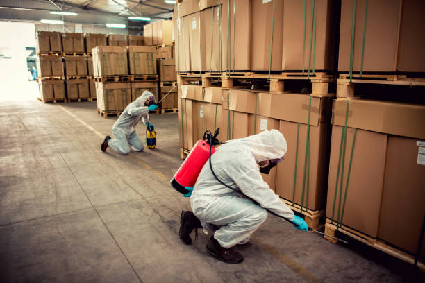 Best Best Pest Control Companies  in Head Of The Harbor, NY