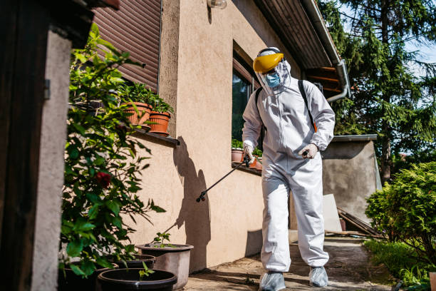 Wasp Removal Services in Head Of The Harbor, NY