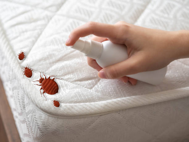 Pest Control Cost in Head Of The Harbor, NY